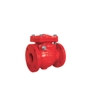 Swing Check Valve Flanged End 300PSI