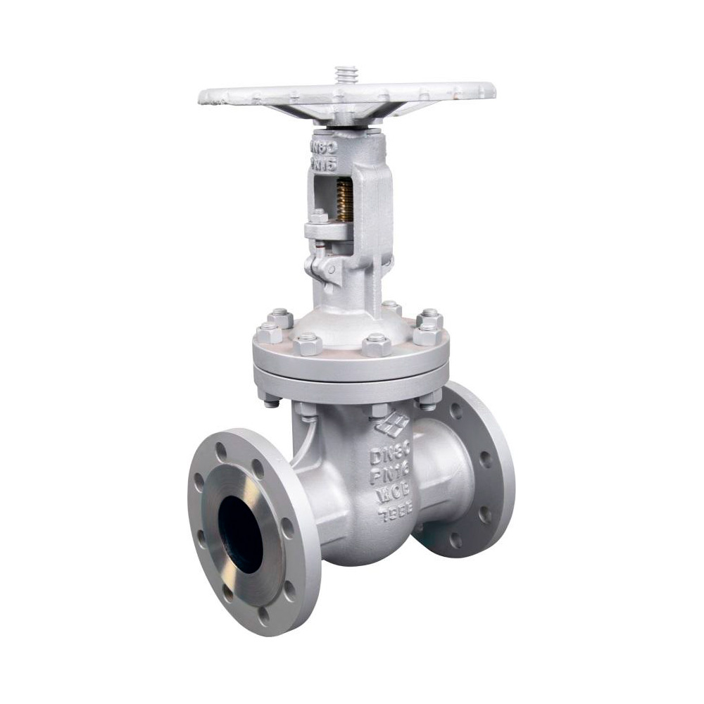 Válvula de Compuerta Acero Carbono. Husillo Ascendente. PN40 | Valveseal